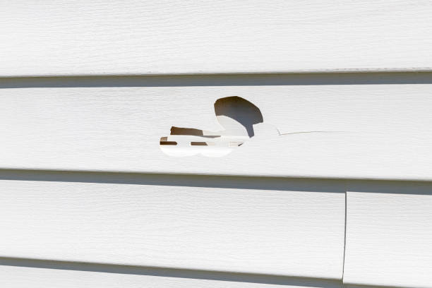Siding Removal and Disposal in Largo, MD